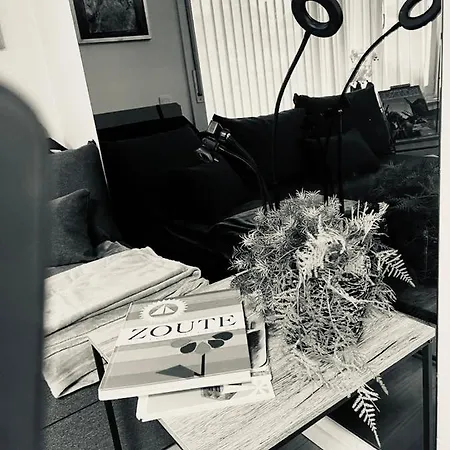 Apartment Cozy Studio *